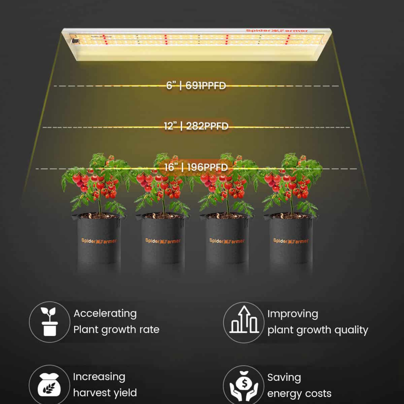 Load image into Gallery viewer, Spider Farmer - SF300 LED Grow Light β Full Spectrum 33W for Seedlings & Greens