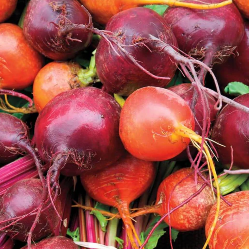 Load image into Gallery viewer, West Coast Seeds - Beet Blend (5g) - Vibrant and Flavorful Beets