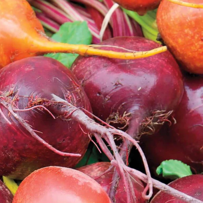 Load image into Gallery viewer, West Coast Seeds - Beet Blend (5g) - Vibrant and Flavorful Beets