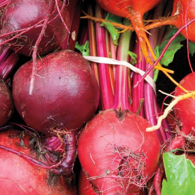 Load image into Gallery viewer, West Coast Seeds - Beet Blend (5g) - Vibrant and Flavorful Beets