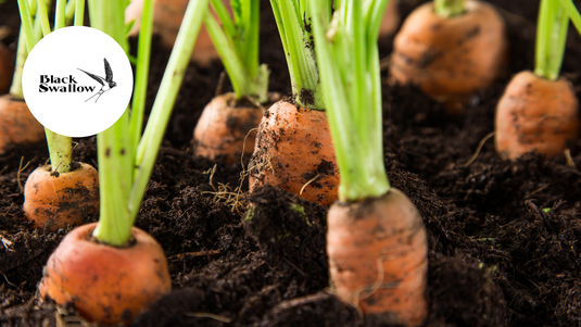 Black Swallow Living Soil & Organic Nutrients