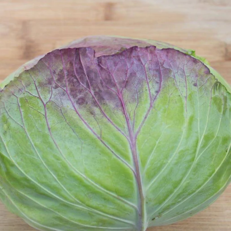 Load image into Gallery viewer, West Coast Seeds - Taiwan Cabbage F1 Hybrid - Heat Tolerant & High Yield (0.25g)