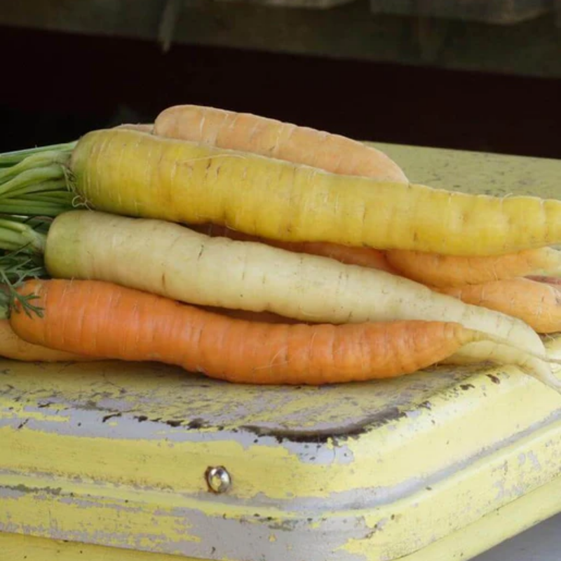 Load image into Gallery viewer, West Coast Seeds - Rainbow Blend Carrots - Colorful Harvest Variety (0.75g)