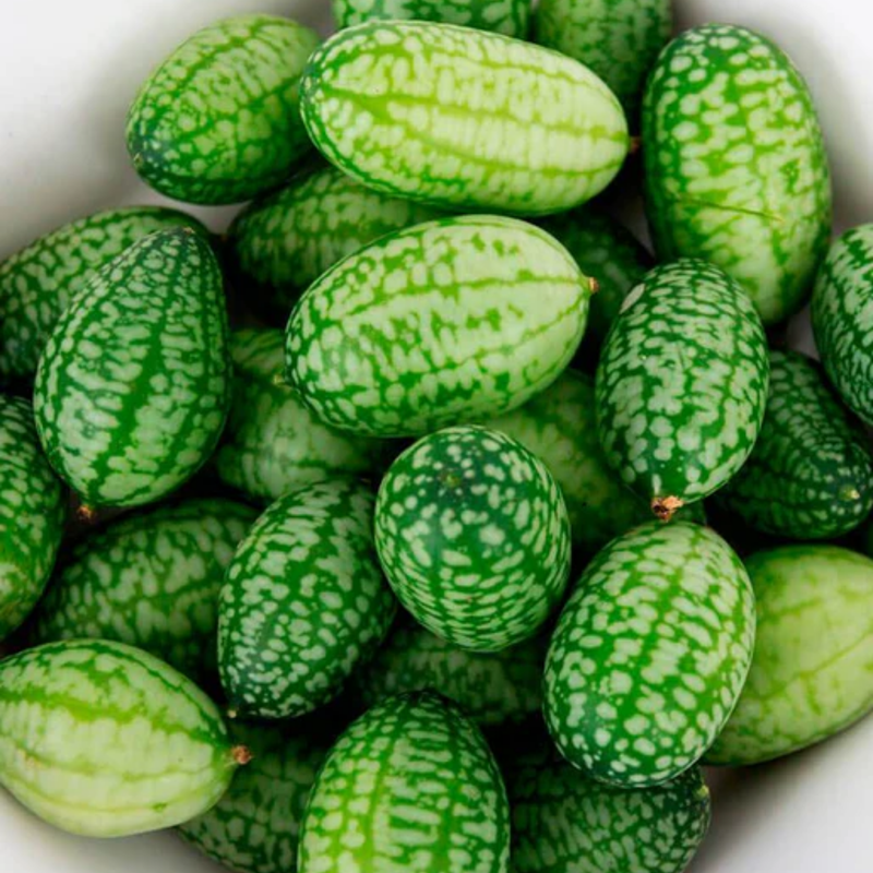 Load image into Gallery viewer, West Coast Seeds - Cucamelon - Mini Watermelon Lookalike with Citrus Notes