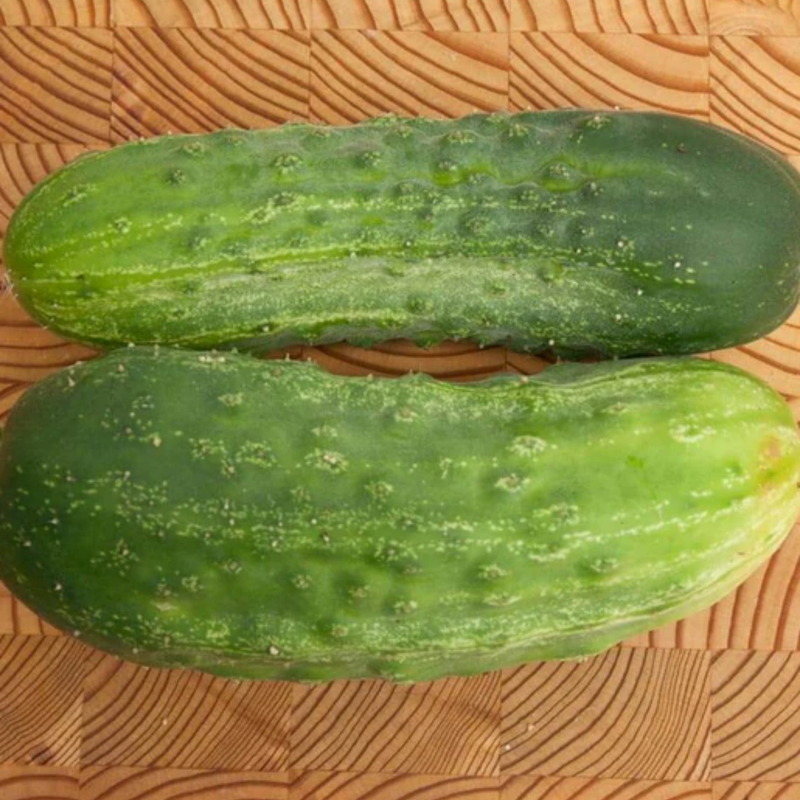 Load image into Gallery viewer, West Coast Seeds - Homemade Pickles Cucumbers - High-Yield, Crisp & Flavorful (0.50g)