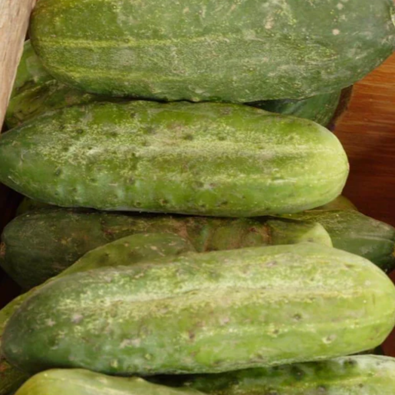 Load image into Gallery viewer, West Coast Seeds - Homemade Pickles Cucumbers - High-Yield, Crisp & Flavorful (0.50g)