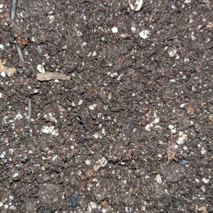 Load image into Gallery viewer, Dark Earth Premium Living Soil - Organic Nutrient-Rich Soil (Store Pick Up Only)