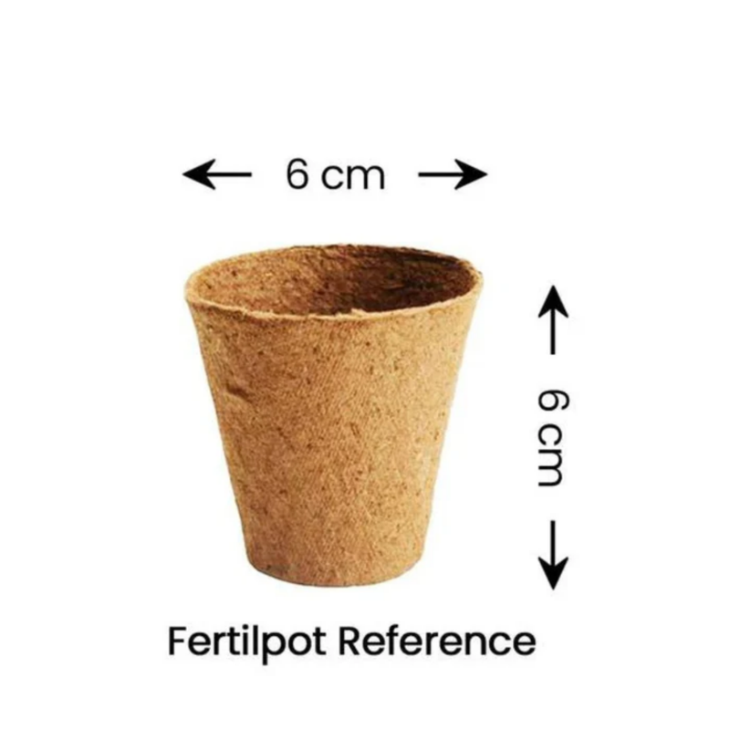 Load image into Gallery viewer, Fertilpot - Round Biodegradable Pots (6x6cm & 11x11cm) - Eco-Friendly Plant Containers