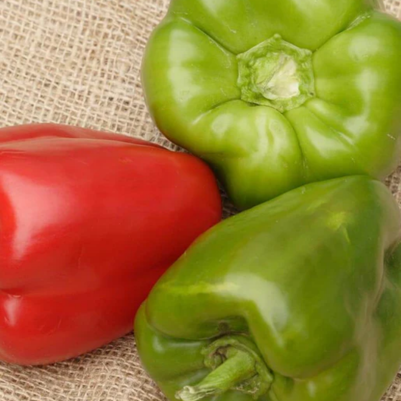 Load image into Gallery viewer, West Coast Seeds - California Wonder Peppers (0.25g) - Sweet, Blocky, High-Yield