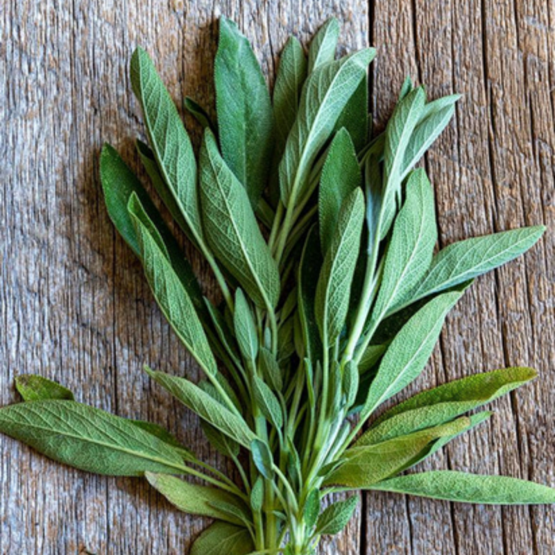 Load image into Gallery viewer, West Coast Seeds - Ceres Sage Seeds - Certified Organic, Aromatic & Hardy