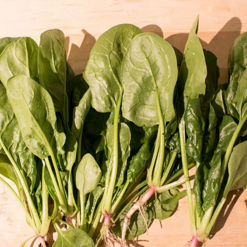 Load image into Gallery viewer, West Coast Seeds - Yukon Spinach - Fast-Growing & Flavorful Hybrid (100 Seeds)