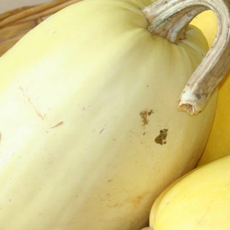 Load image into Gallery viewer, West Coast Seeds - Spaghetti Squash - Heirloom, Easy to Grow & High-Yielding