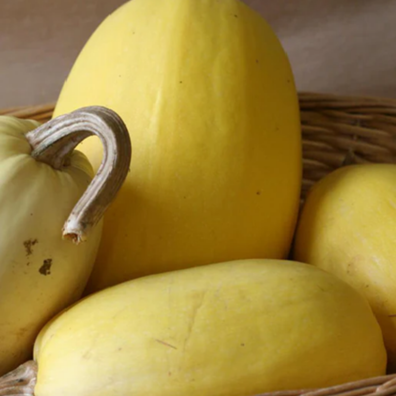 Load image into Gallery viewer, West Coast Seeds - Spaghetti Squash - Heirloom, Easy to Grow & High-Yielding