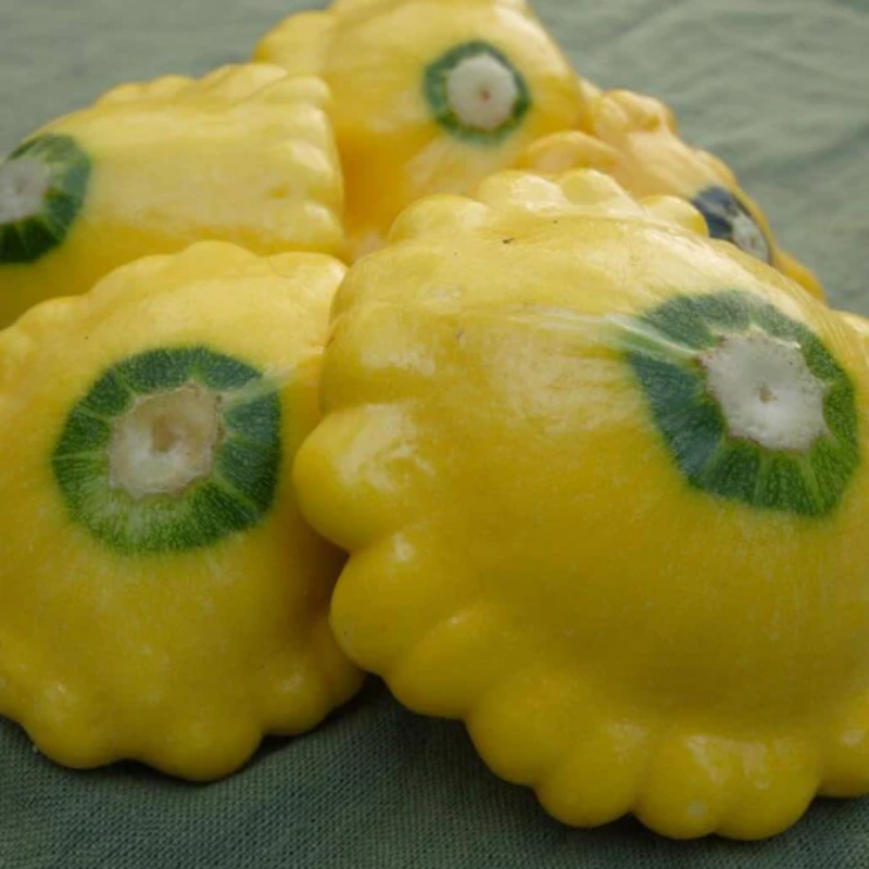 Load image into Gallery viewer, West Coast Seeds - Sunburst Squash - Vibrant & Tender Pattypans (2g)