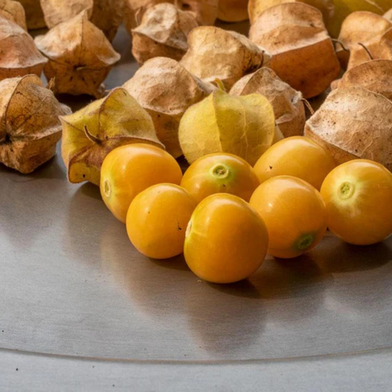 Load image into Gallery viewer, West Coast Seeds - Aunt Molly's Ground Cherry - Sweet & Productive Heirloom (0.10g)