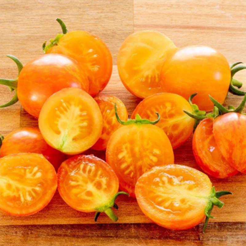Load image into Gallery viewer, West Coast Seeds - Sunrise Bumble Bee Tomato - Sweet, Juicy & Colorful