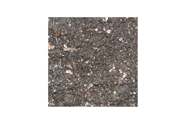 Dark Earth Premium Living Soil (Store Pick up Only)