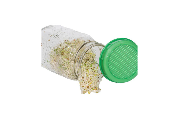 Load image into Gallery viewer, West Coast Seeds - Green Sprout Lid - BPA-Free Plastic for Mason Jars