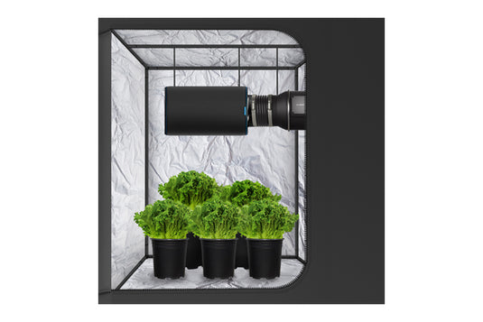 AC Infinity - Charcoal Carbon Filter - Premium Odor Control - 4", 6", 8" Sizes