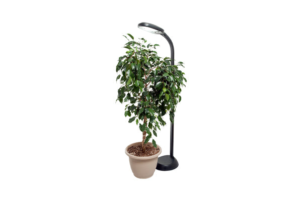 Agrobrite - Floor Plant Light