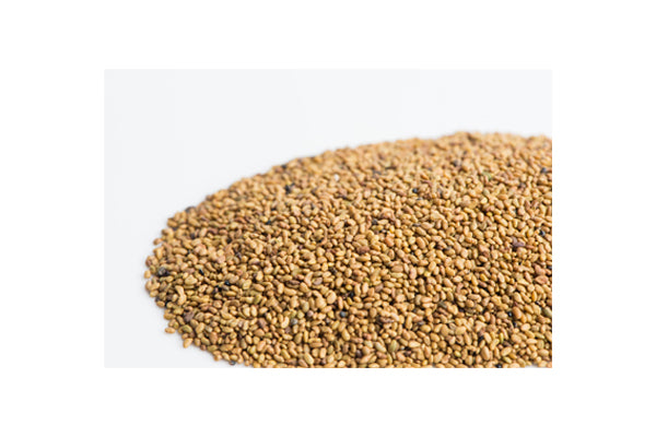 Mumm's Sprouting Seeds - Alfalfa (125g)