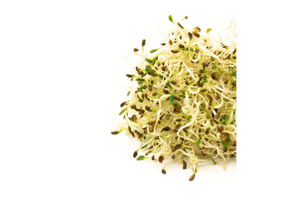 Mumm's Sprouting Seeds - Alfalfa (125g)