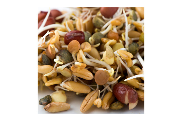 Mumm's Sprouting Seeds - Ancient Eastern Blend (125g)