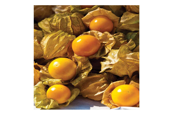 West Coast Seeds - Tomatoes Aunt Molly's (0.10g)
