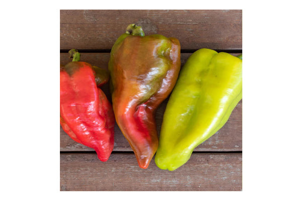 West Coast Seeds - Peppers Beaver Dam