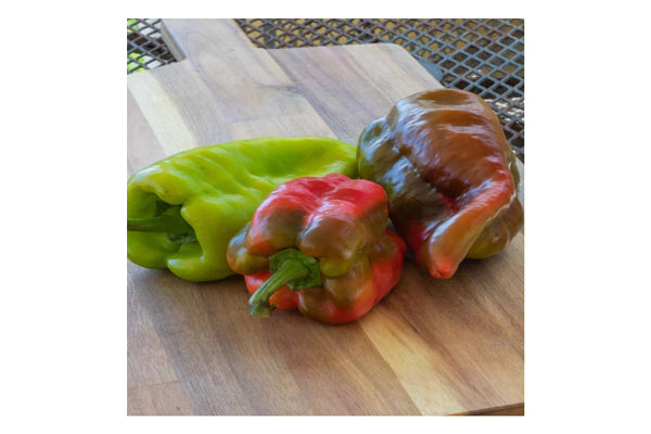 West Coast Seeds - Peppers Beaver Dam