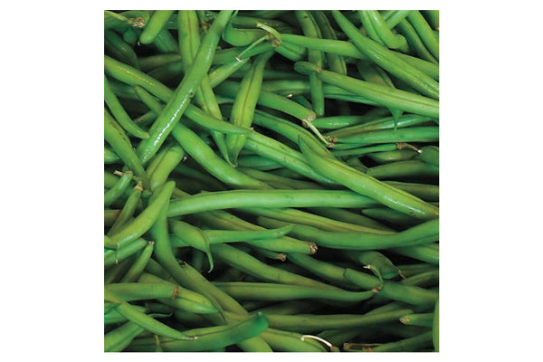 West Coast Seeds - Beans Blue Lake (50g)