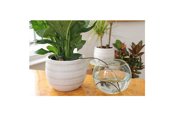 Blumat JR Classic Watering Adapter