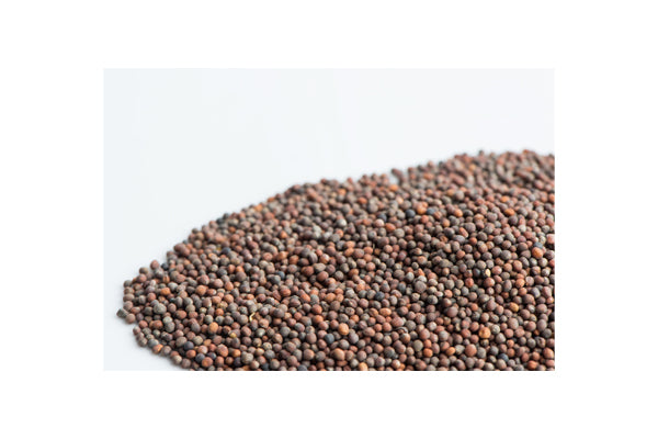 Load image into Gallery viewer, Mumm's Sprouting Seeds - Broccoli (100g)