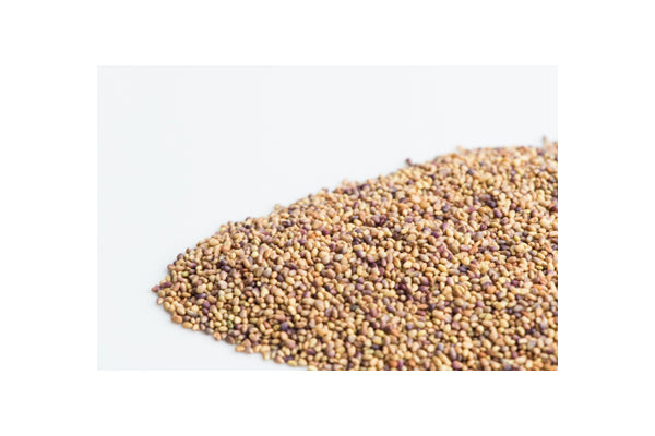 Load image into Gallery viewer, Mumm's Sprouting Seeds - Red Clover (125g)