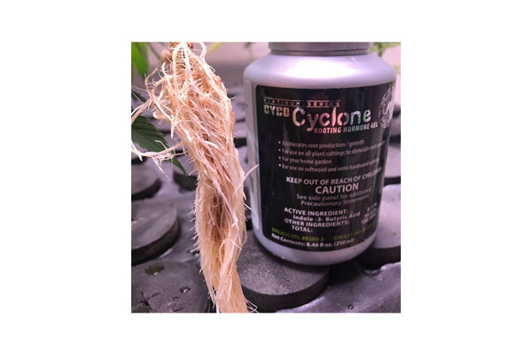 CYCO Cyclone Rooting Gel