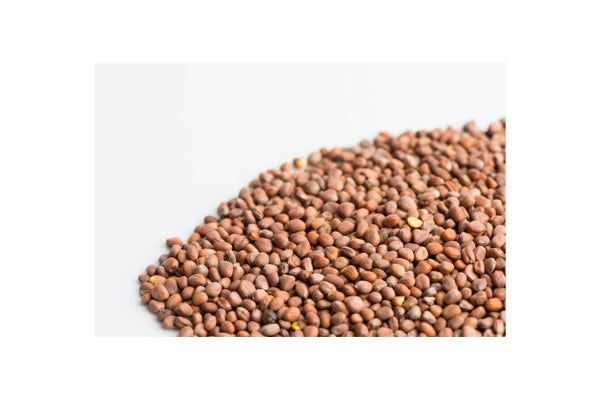 Load image into Gallery viewer, Mumm's Sprouting Seeds - Daikon Radish (100g)