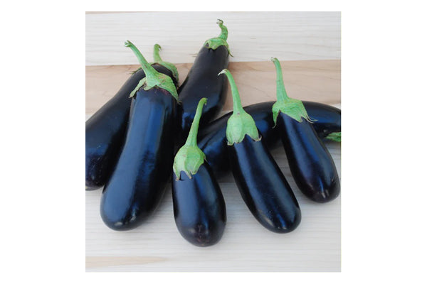 West Coast Seeds - Eggplant Diamond Certified Organic