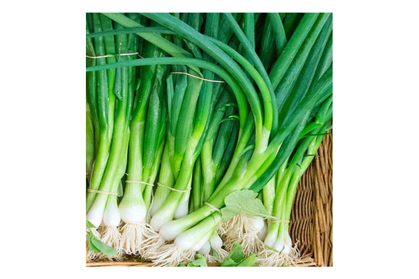 West Coast Seeds - Onions Eiffel (1g)
