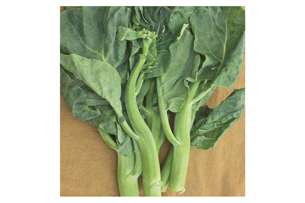 West Coast Seeds - Broccoli Green Pearl (1g)