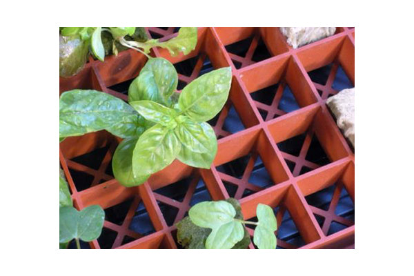 Grodan - Gro-Smart Tray Insert