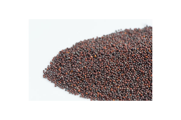 Load image into Gallery viewer, Mumm's Sprouting Seeds - Kale Green (125g)