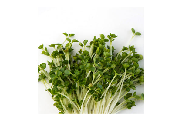 Load image into Gallery viewer, Mumm's Sprouting Seeds - Kale Green (125g)