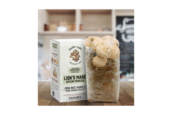 Happy Caps - Grow Your Own Mushroom Kit (Lion's Mane)