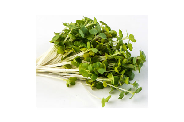 Mumm's Sprouting Seeds - Arugula (125g)
