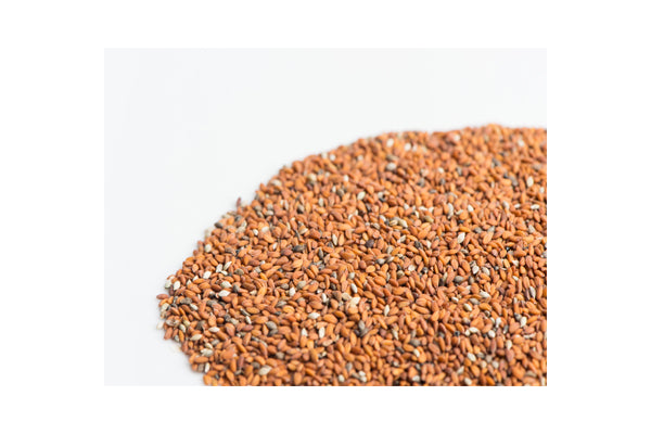 Load image into Gallery viewer, Mumm's Sprouting Seeds - Curly Cress (125g)