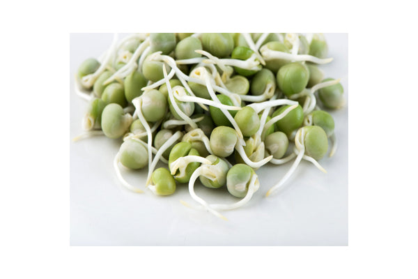 Load image into Gallery viewer, Mumm's Sprouting Seeds - Peas Green (125g)