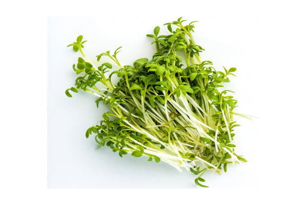 Load image into Gallery viewer, Mumm's Sprouting Seeds - Peas Green (125g)