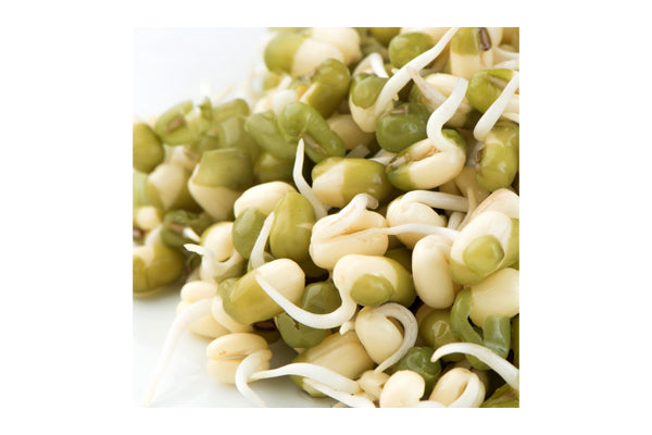 Load image into Gallery viewer, Mumm's Sprouting Seeds - Mung Beans (125g)