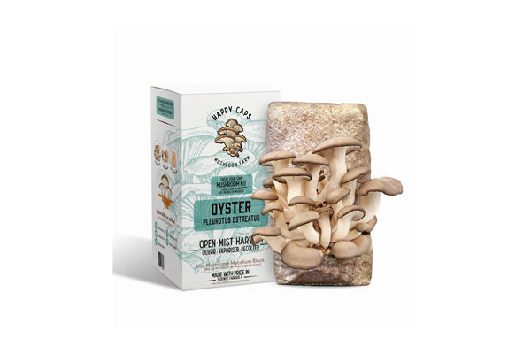 Happy Caps - Grow Your Own Mushroom Kit (Oyster)