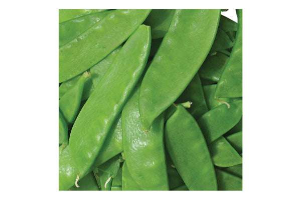 West Coast Seeds - Peas Oregon Sugar Pod (25g)